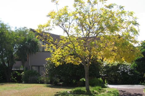 Photo of property in 25a Bournemouth Terrace, Murrays Bay, Auckland, 0630