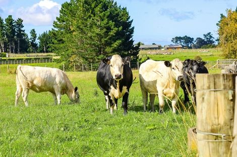 Photo of property in 1007 Brunswick Road, Brunswick, Whanganui, 4571