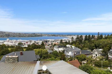 Photo of property in 29 Selkirk Street, Roslyn, Dunedin, 9010