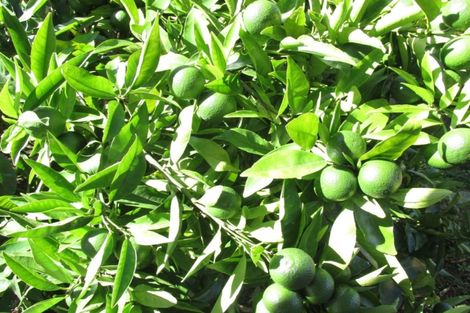 Photo of property in 8 Jellicoe Avenue, Wairoa, 4108