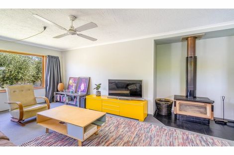 Photo of property in 17 Fastnet Street, Alexandra, 9320