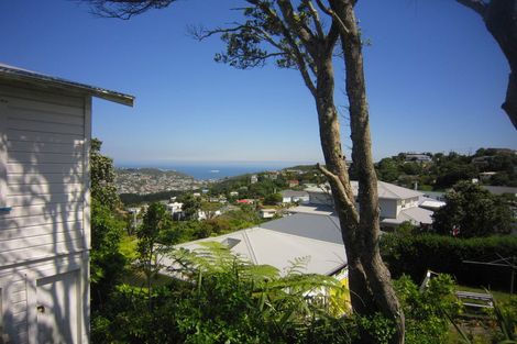 Photo of property in 13 Havelock Street, Mornington, Wellington, 6021