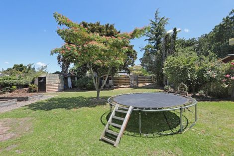 Photo of property in 156 Denbigh Street, Feilding, 4702