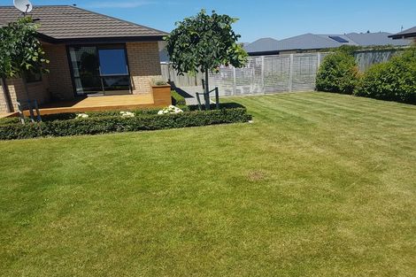Photo of property in 17 Rowan Place, Witherlea, Blenheim, 7201