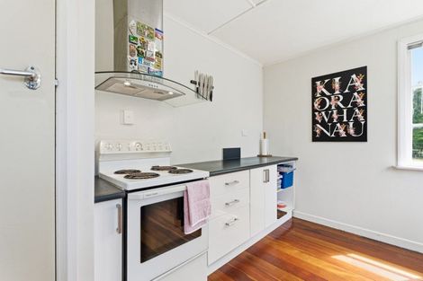 Photo of property in 47 Tararua Street, Pahiatua, 4910