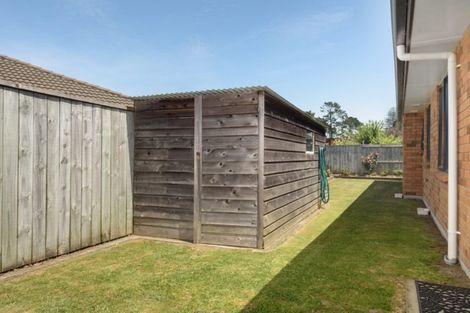 Photo of property in 55 Condor Drive, Pyes Pa, Tauranga, 3112