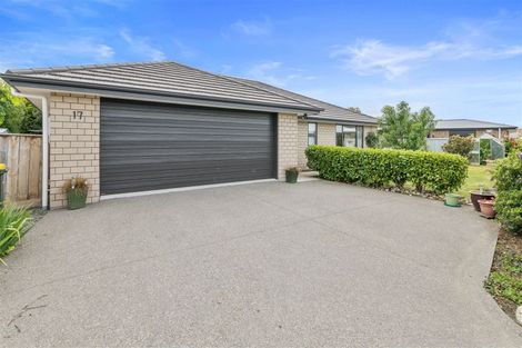 Photo of property in 17 Barry Curtis Place, Levin, 5510