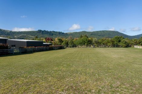 Photo of property in 135 Lisland Drive, Kinloch, Taupo, 3377