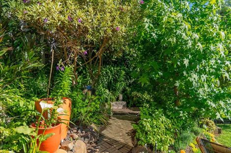 Photo of property in 191 Buffalo Beach Sh25 Road, Whitianga, 3592