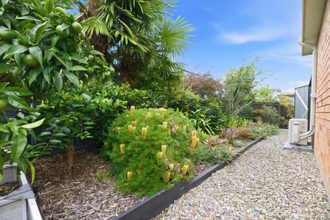 Photo of property in 32 Vale Street, Otumoetai, Tauranga, 3110
