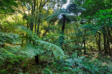 Photo of property in 101 Ross Road, Whakamarama, Tauranga, 3179