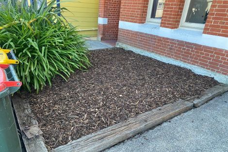 Photo of property in 8 Riego Street, North Dunedin, Dunedin, 9016