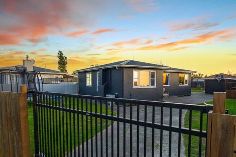 Photo of property in 17 Winchester Street, Awapuni, Palmerston North, 4412
