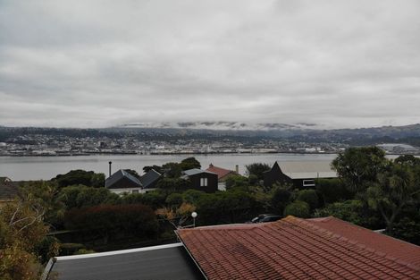 Photo of property in 10 Danube Street, Vauxhall, Dunedin, 9013