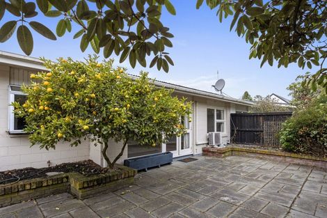 Photo of property in 114b Office Road, Merivale, Christchurch, 8014