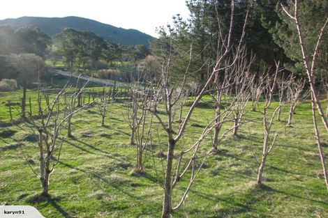 Photo of property in 4 Terrace Street, Matawai, 4075