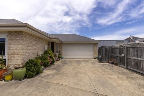 Photo of property in 113 Scott Street, Blenheim, 7201