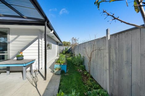 Photo of property in 95 Bartholomew Road, Levin, 5510