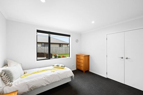 Photo of property in 224 Cumberland Drive, Flagstaff, Hamilton, 3210