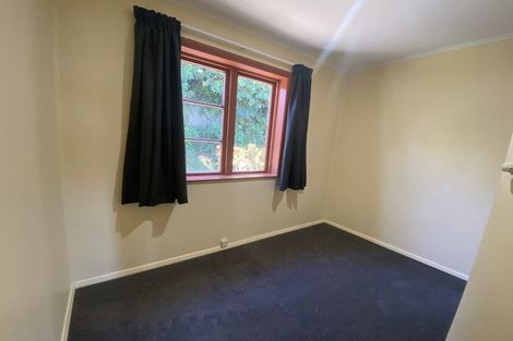 Photo of property in 161 The Ridgeway, Mornington, Wellington, 6021