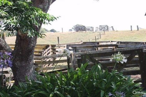 Photo of property in 509 Otuiti Road, Pukekawa, Tuakau, 2696