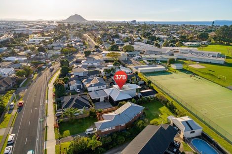 Photo of property in 37b Links Avenue, Mount Maunganui, 3116