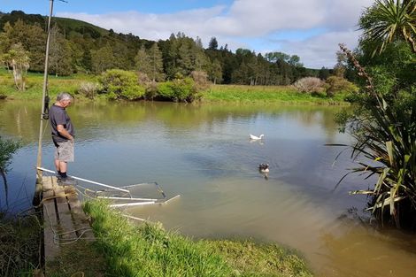 Photo of property in 199a Checkley Road, Raglan, 3295