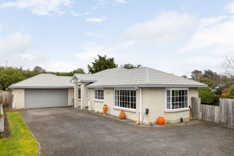 Photo of property in 38 Cherrywood Street, Pukete, Hamilton, 3200