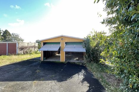 Photo of property in 67 Seabrook Avenue, New Lynn, Auckland, 0600