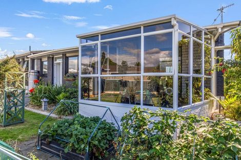 Photo of property in 4 Cardiff Street, Levin, 5510