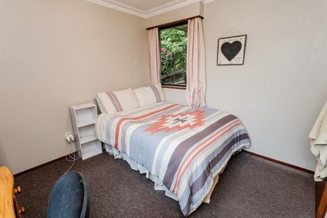 Photo of property in 36 Littlebourne Road, Roslyn, Dunedin, 9010