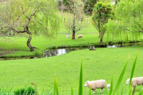 Photo of property in 1559 Kahikatea Flat Road, Kaukapakapa, 0871