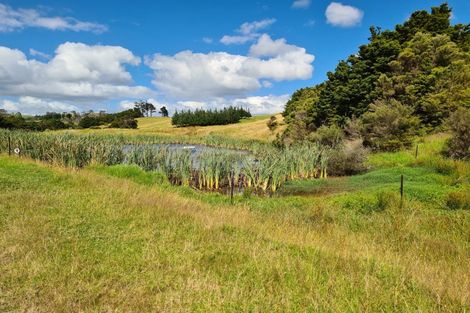 Photo of property in 304 Arapaoa Road, Tinopai, Matakohe, 0593