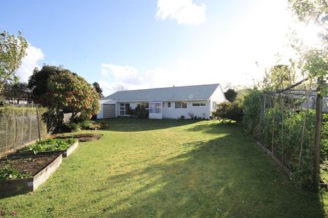 Photo of property in 58 Parry Palm Avenue, Waihi, 3610