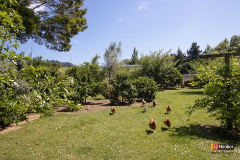 Photo of property in 1 Kitchener Street, Waihi, 3610