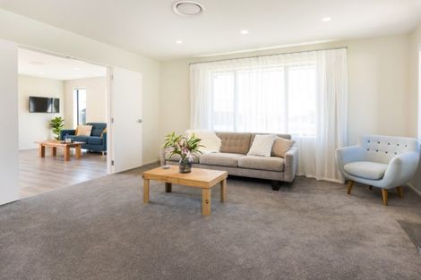 Photo of property in 2 Solomon Place, Witherlea, Blenheim, 7201