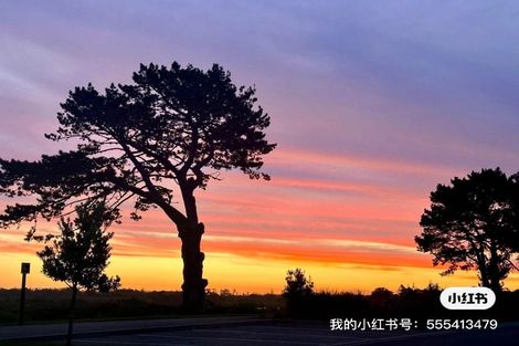 Photo of property in 23 Catalina Avenue, Rosehill, Papakura, 2113