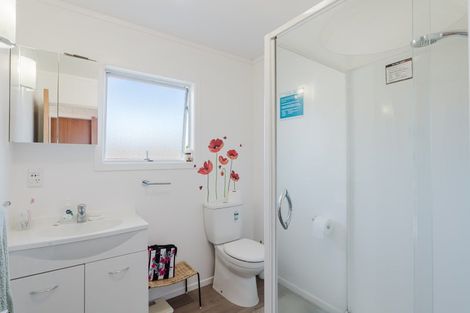 Photo of property in 22 Wake Street, Chartwell, Hamilton, 3210