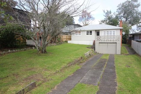 Photo of property in 16 Pomaria Road, Henderson, Auckland, 0610