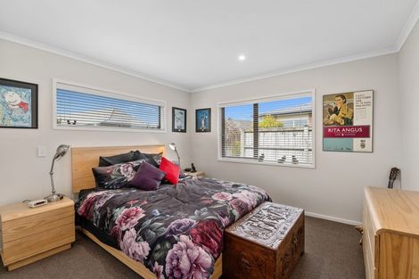 Photo of property in 57/91 Mako Mako Road, Levin, 5510