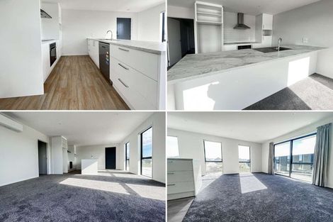 Photo of property in 41 Waikirikiri Avenue, Lincoln, 7608