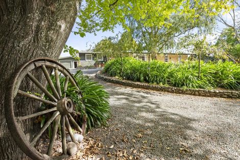 Photo of property in 273 Parewanui Road, Bulls, 4894