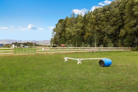 Photo of property in 439 Aka Aka Road, Aka Aka, Pukekohe, 2678