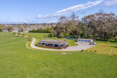 Photo of property in 53 Oak Street, Masterton, 5810