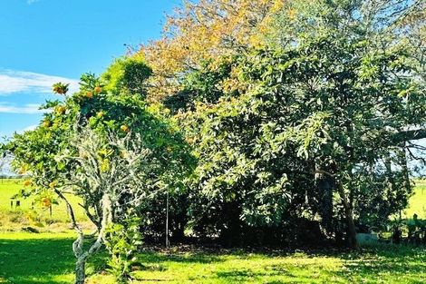 Photo of property in 66a Walker Road, Awanui, 0486