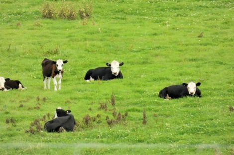 Photo of property in 187 Muhunoa Road West, Ohau, Levin, 5570