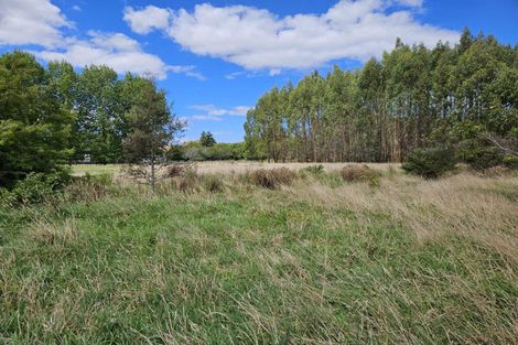 Photo of property in 50 Delhi Avenue, Aramoho, Whanganui, 4500