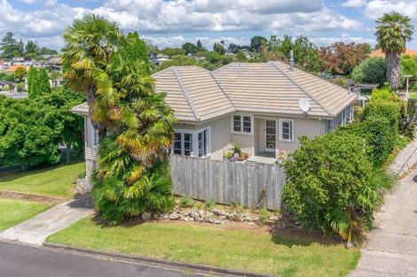 Photo of property in 141 Totara Street, Te Awamutu, 3800