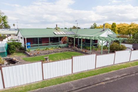 Photo of property in 2 Hale Place, Ngatea, 3503