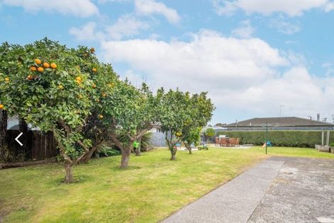 Photo of property in 59 Smiths Avenue, Papakura, 2110